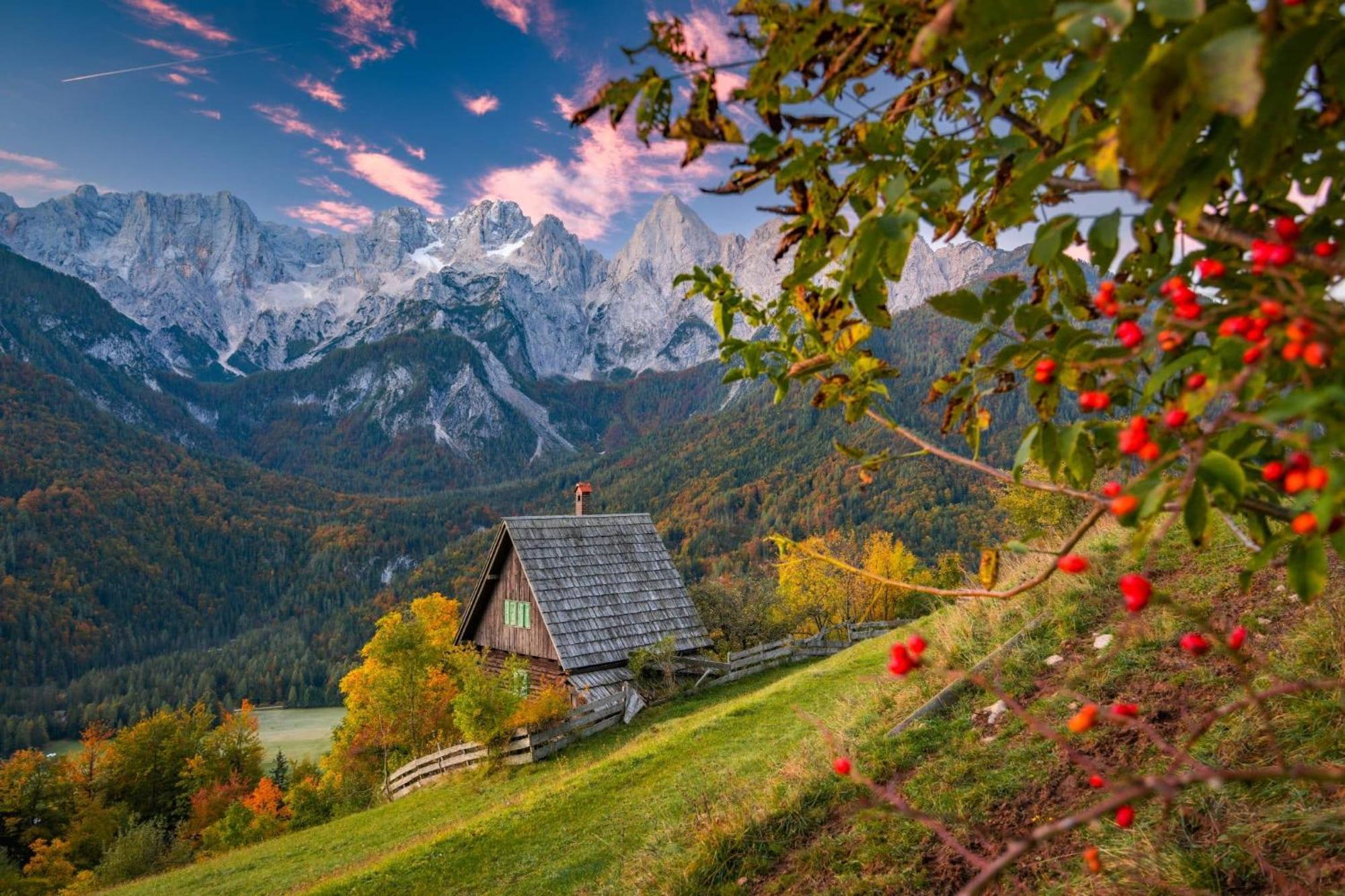 Sunny Retreat Apartment Kranjska Gora Exteriör bild